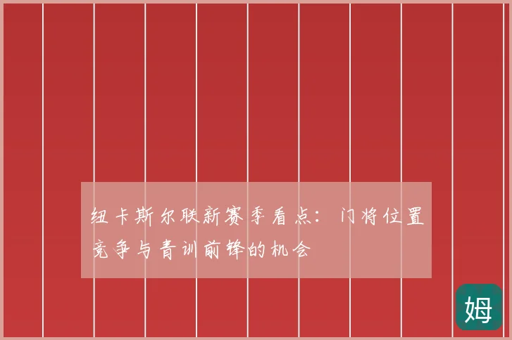 纽卡斯尔联新赛季看点：门将位置竞争与青训前锋的机会
