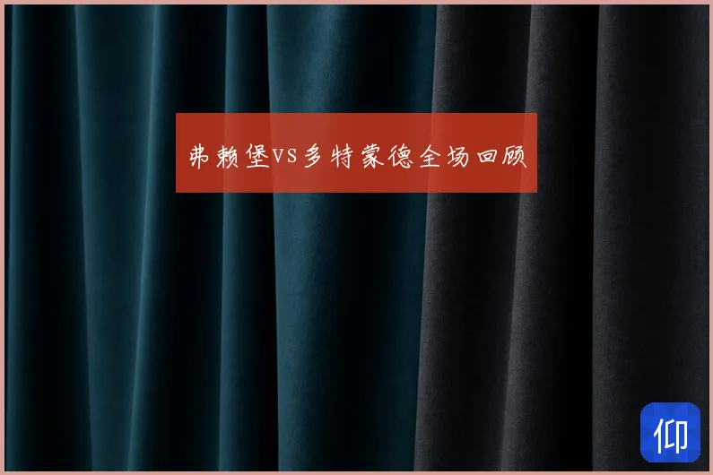 弗赖堡vs多特蒙德全场回顾